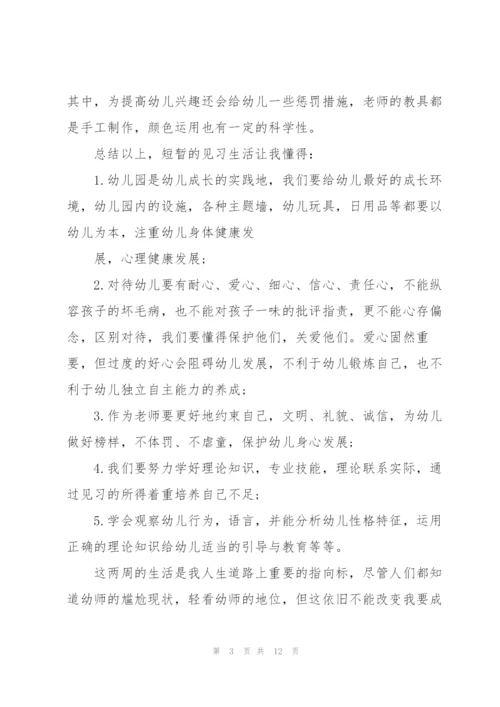 幼儿园见习总结5篇.docx