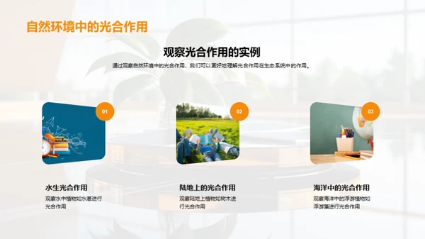 绿色能源之源