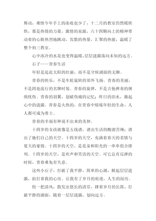 清点涟漪作文800字.docx