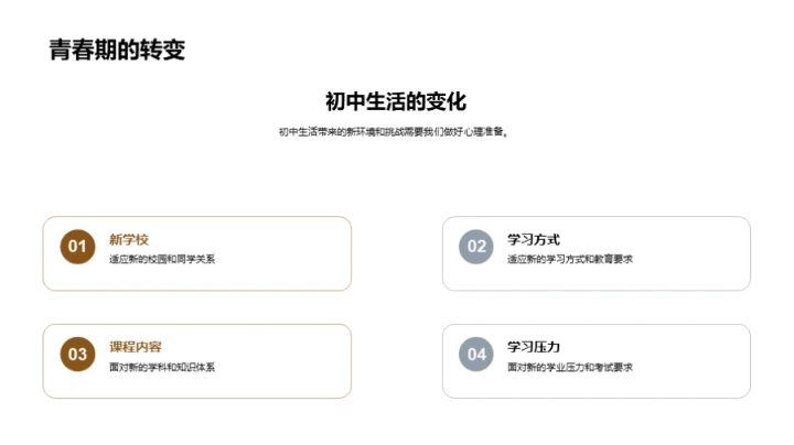 初中挑战与应对