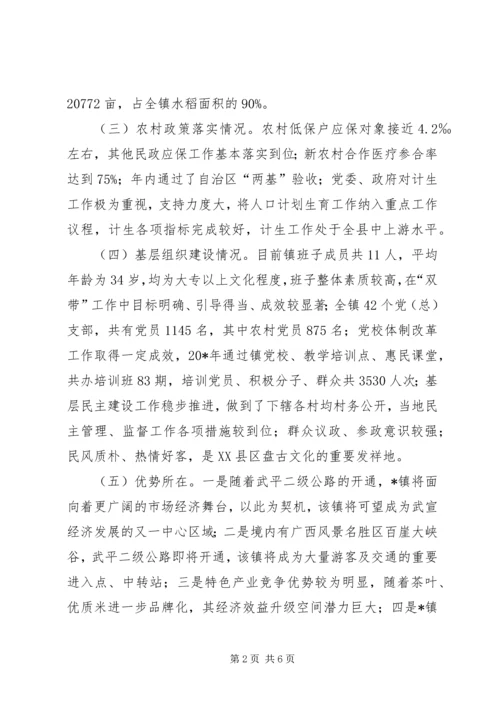 乡镇现状调研报告.docx