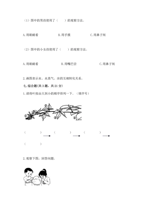 教科版科学一年级上册第一单元《植物》测试卷及完整答案（精品）.docx