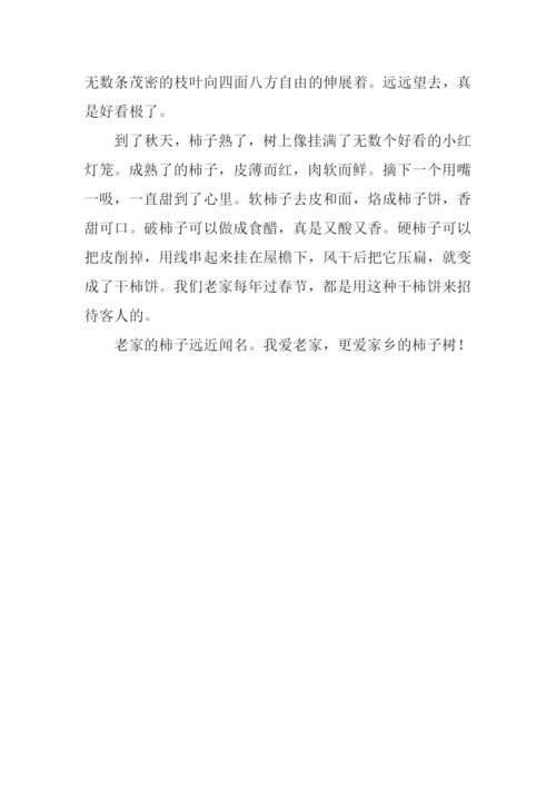 关于家乡的作文100字.docx