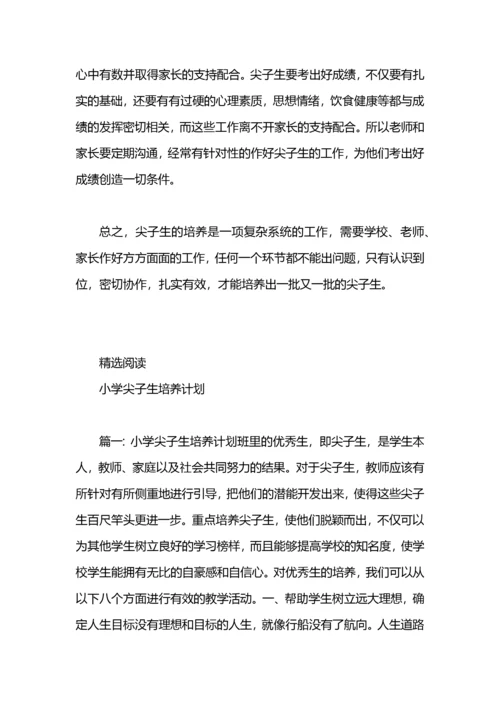 初中尖子生培养工作计划.docx