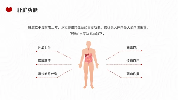 红色水彩简约插画全国爱肝日企业培训PPT课件