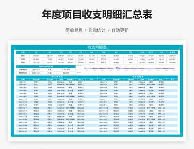 年度项目收支明细汇总表