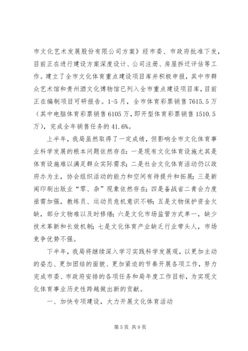 文化体育局上半年工作总结及下半年工作计划.docx