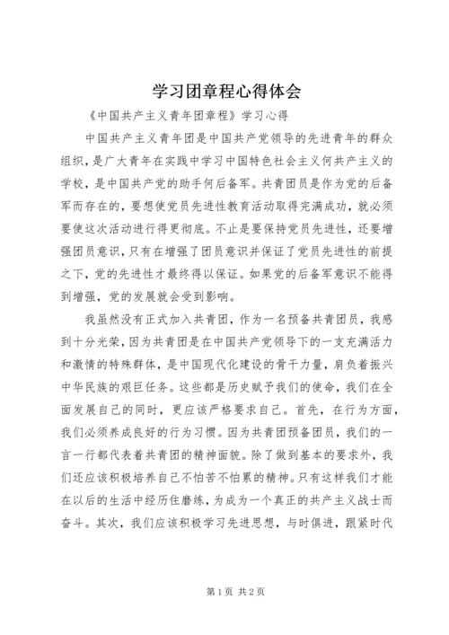 学习团章程心得体会 (2).docx