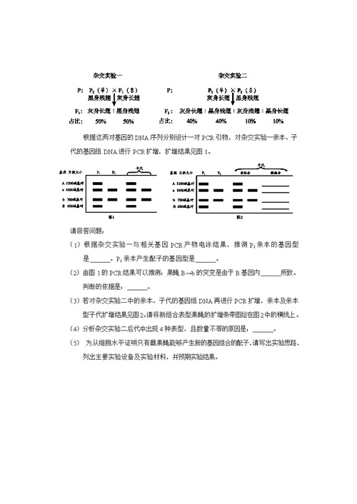 2020年普通高中学业水平考试等级性考试生物测试(共11页)