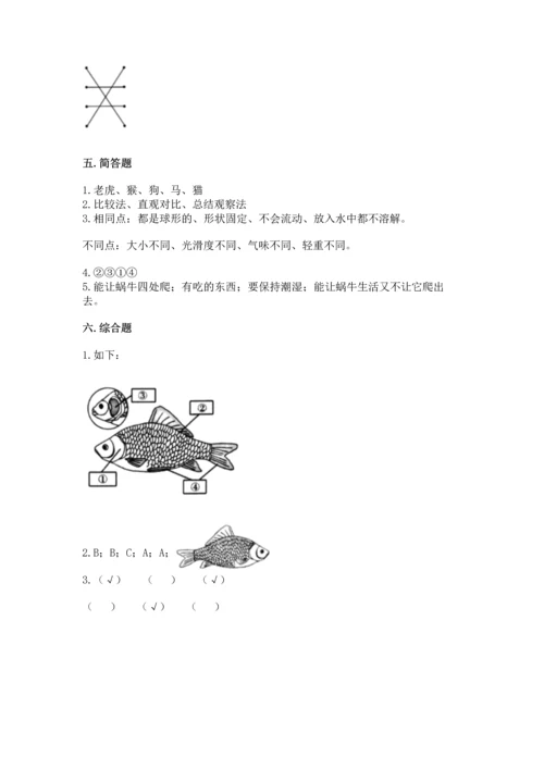 教科版一年级下册科学期末测试卷（轻巧夺冠）.docx