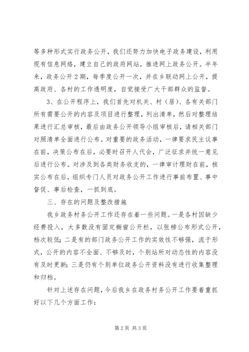 乡镇政务公开自查报告_1.docx