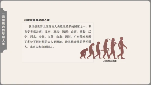 中学历史课人类起源《北京人》通用PPT模板