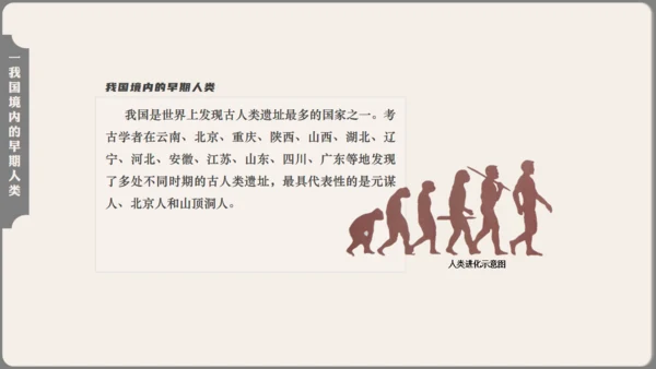 中学历史课人类起源《北京人》通用PPT模板