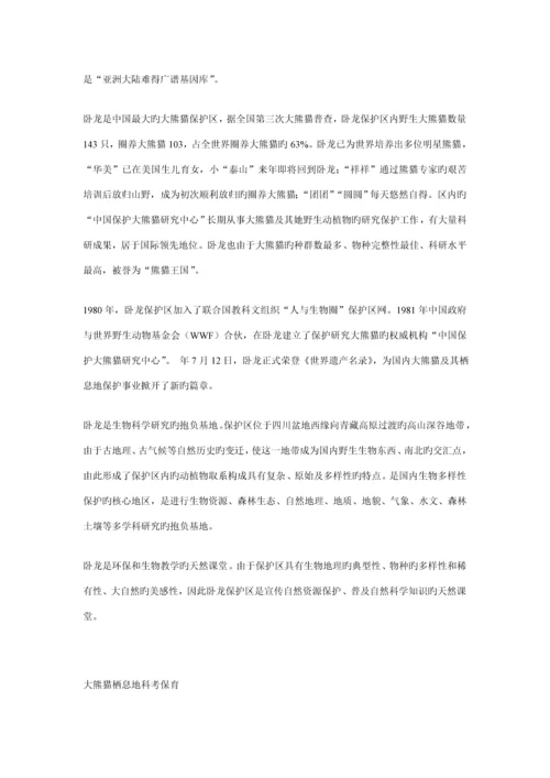 熊猫王国网络营销设计专题方案分析.docx