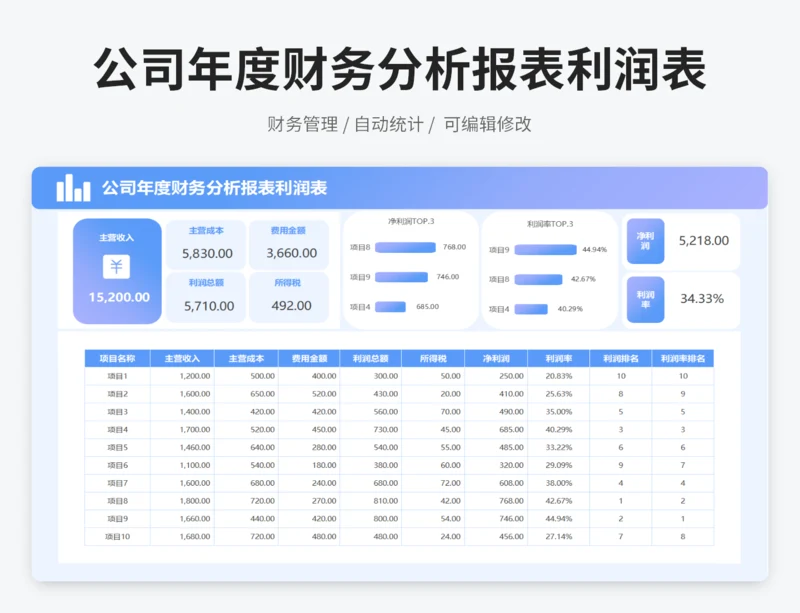 公司年度财务分析报表利润表
