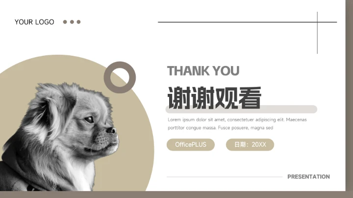 黄色系干净宠物健康护理介绍PPT模板