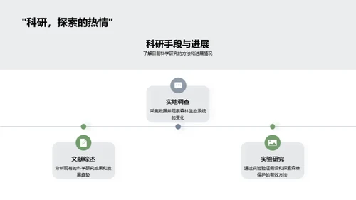 森林守护策略研究