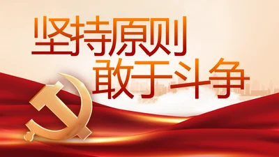 坚持原则敢于斗争党建党支部工作总结PPT党课