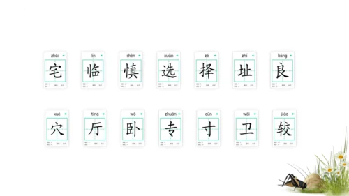 11 蟋蟀的住宅（课件）