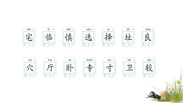 11 蟋蟀的住宅（课件）