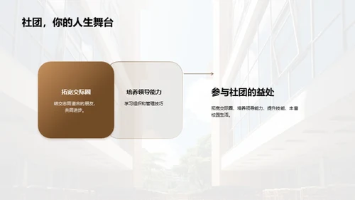 大学生活全景图