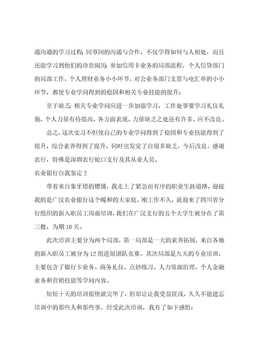 农业银行自我鉴定