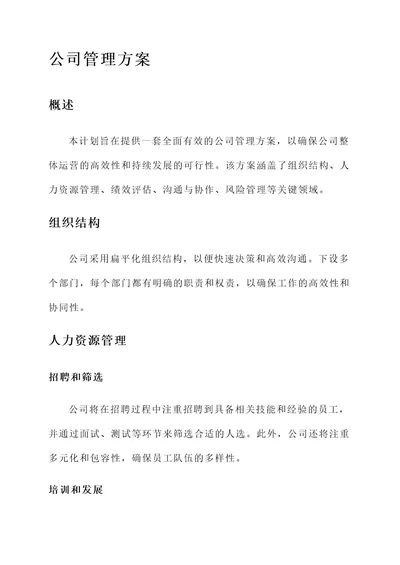 总经理的公司管理方案