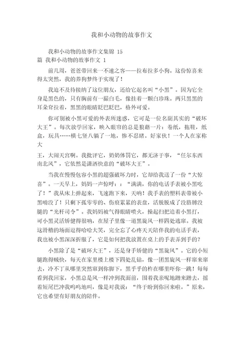 我和小动物的故事作文