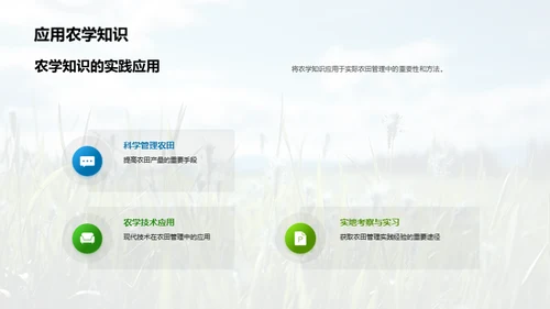 稻田科学种植