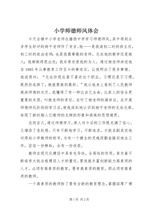 小学师德师风体会.docx