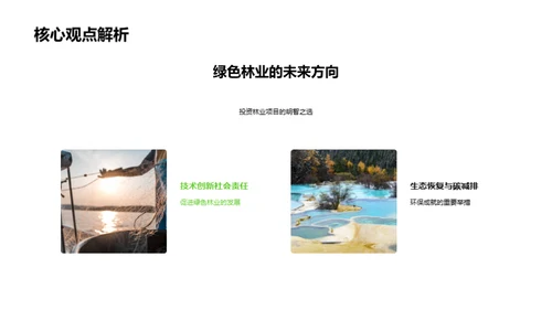 林业发展新篇章