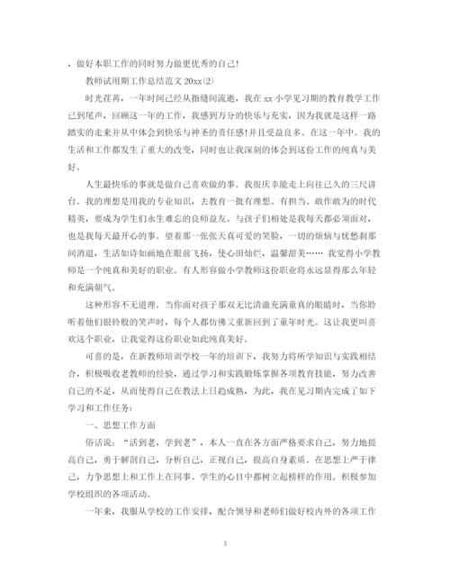 精编之教师试用期工作总结范文.docx