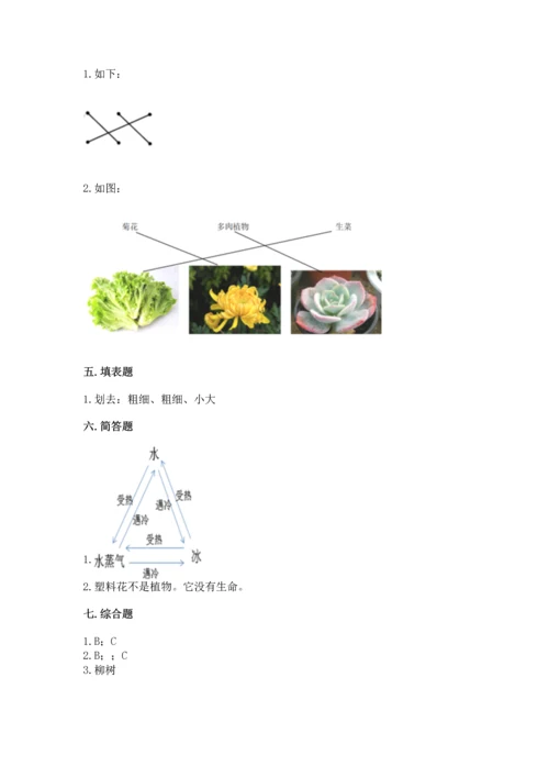 教科版科学一年级上册第一单元《植物》测试卷【满分必刷】.docx