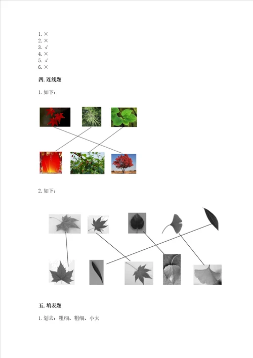 教科版科学一年级上册第一单元植物测试卷附参考答案a卷