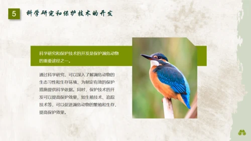 保护濒危野生动物通用PPT模板