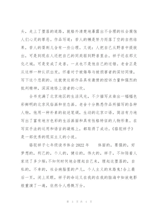 骆驼祥子七年级读书体会2022年.docx