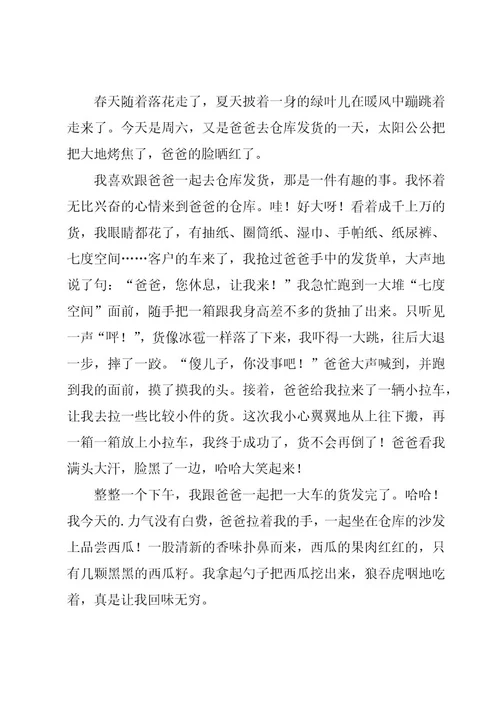 夏天的小学作文优秀8篇