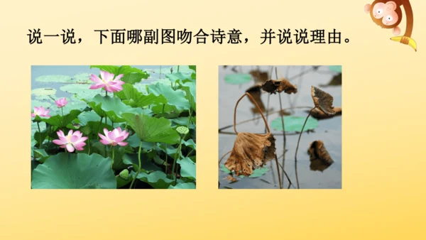 4 古诗三首  课件