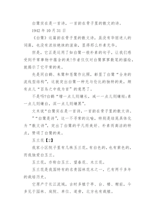 散文白鹭原文.docx