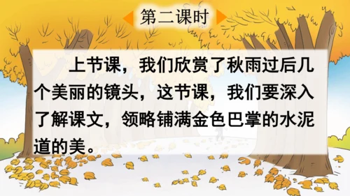 5 铺满金色巴掌的水泥道