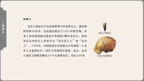中学历史课人类起源《北京人》通用PPT模板