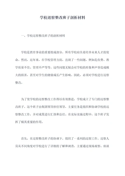 学校巡察整改班子剖析材料