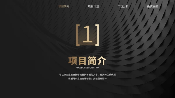 黑金风格项目介绍企业宣传公司介绍招商融资商业计划书PPT模板