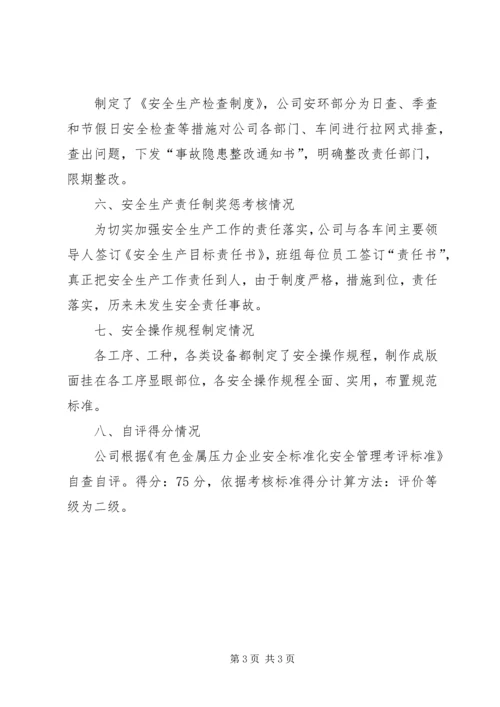 安全标准化自评报告 (3).docx