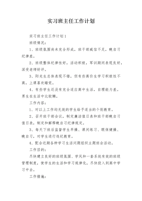 实习班主任工作计划.docx