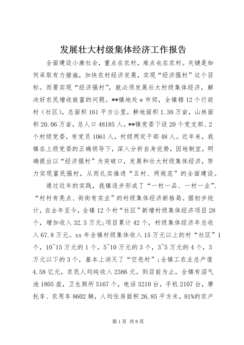 发展壮大村级集体经济工作报告 (2).docx
