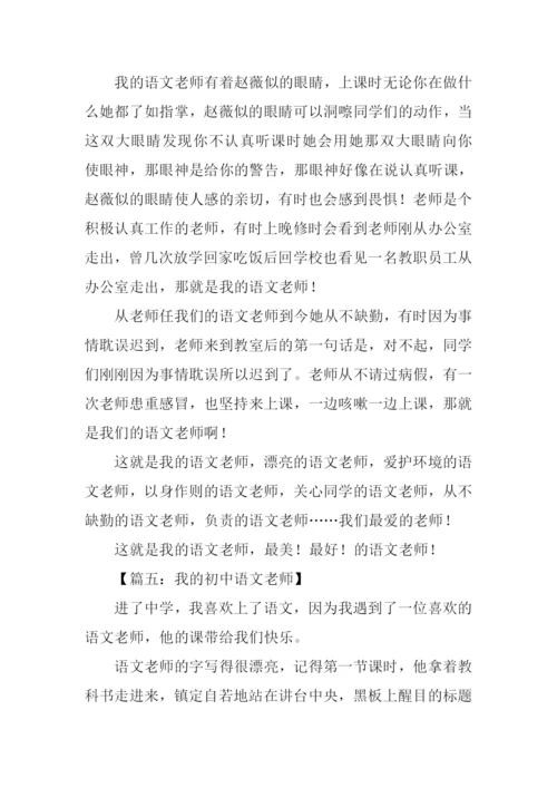 我的初中语文老师作文.docx