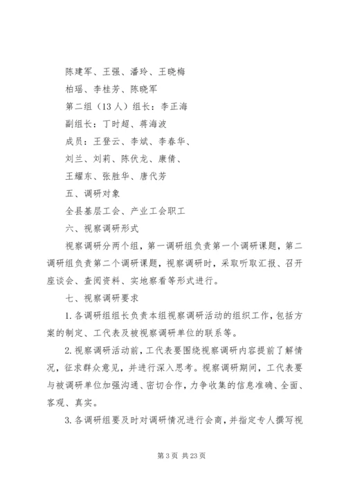 视察调研活动工作方案.docx