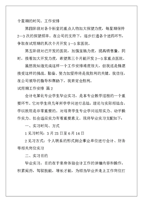 2022年试用期工作计划模板汇编6篇