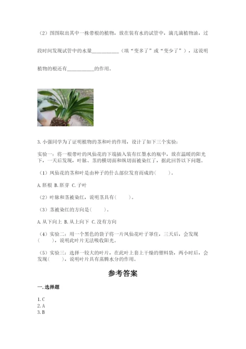 教科版四年级下册科学第一单元《植物的生长变化》测试卷【考点梳理】.docx